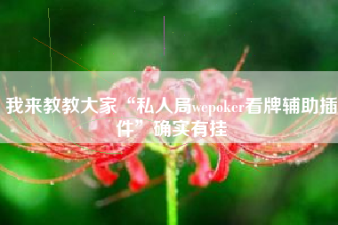 我来教教大家“私人局wepoker看牌辅助插件	”确实有挂