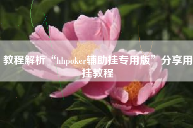 教程解析“hhpoker辅助挂专用版	”分享用挂教程