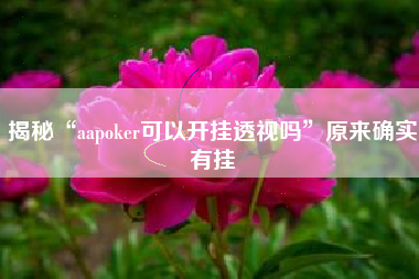 揭秘“aapoker可以开挂透视吗	”原来确实有挂