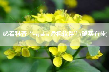 必看科普“wepoker透视软件”(确实有挂)