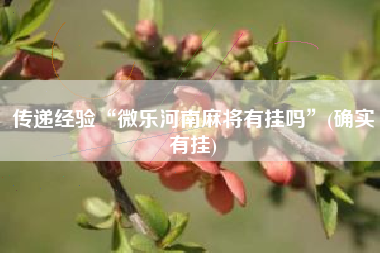 传递经验“微乐河南麻将有挂吗”(确实有挂)