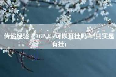 传递经验“AGPoker可以开挂吗”(其实是有挂)