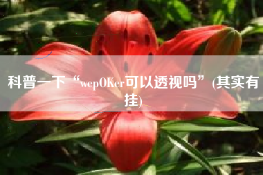 科普一下“wepOKer可以透视吗	”(其实有挂)