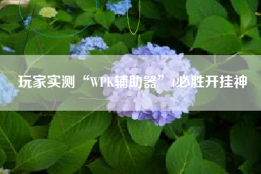 玩家实测“WPK辅助器”(必胜开挂神