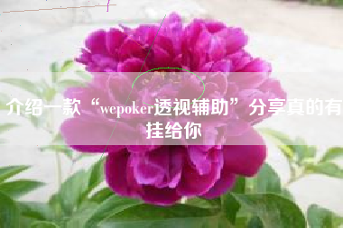 介绍一款“wepoker透视辅助	”分享真的有挂给你
