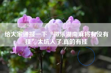 给大家通报一下“微乐湖南麻将有没有挂”太坑人了,真的有挂