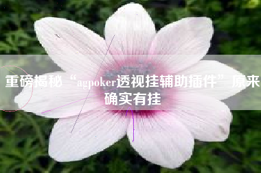 重磅揭秘“agpoker透视挂辅助插件”原来确实有挂