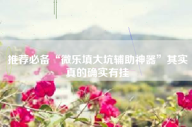 推荐必备“微乐填大坑辅助神器”其实真的确实有挂