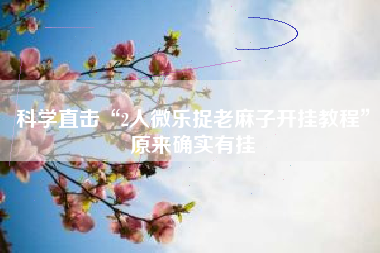 科学直击“2人微乐捉老麻子开挂教程”原来确实有挂