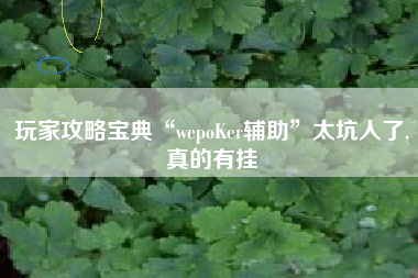 玩家攻略宝典“wepoKer辅助”太坑人了,真的有挂