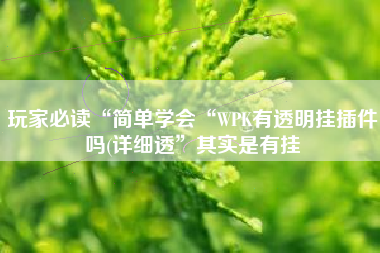 玩家必读“简单学会“WPK有透明挂插件吗(详细透	”其实是有挂
