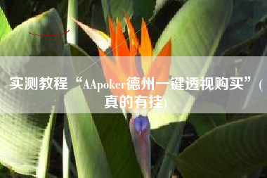 实测教程“AApoker德州一键透视购买”(真的有挂)