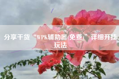 分享干货“WPK辅助器(免费)”详细开挂玩法