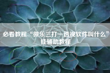 必看教程“微乐三打一透视软件叫什么”挂辅助教程