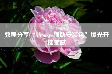 教程分享“AApoker辅助安装包”爆光开挂猫腻
