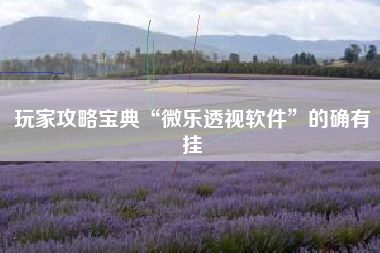 玩家攻略宝典“微乐透视软件	”的确有挂