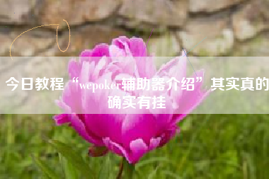 今日教程“wepoker辅助器介绍	”其实真的确实有挂