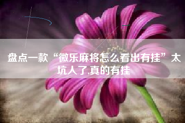 盘点一款“微乐麻将怎么看出有挂”太坑人了,真的有挂