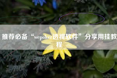 推荐必备“wepoker透视软件	”分享用挂教程