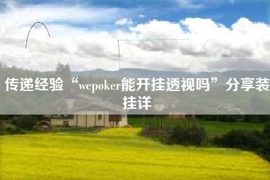 传递经验“wepoker能开挂透视吗”分享装挂详