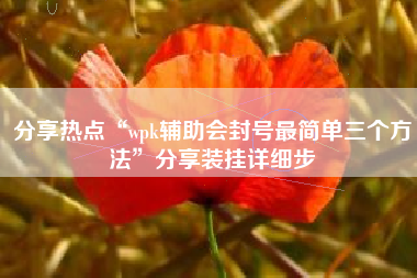 分享热点“wpk辅助会封号最简单三个方法	”分享装挂详细步