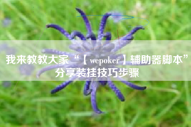 我来教教大家“【wepoker】辅助器脚本”分享装挂技巧步骤