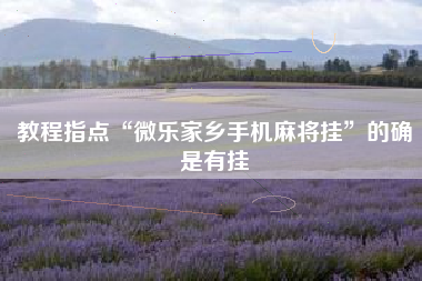 教程指点“微乐家乡手机麻将挂	”的确是有挂