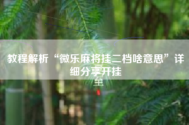 教程解析“微乐麻将挂二档啥意思	”详细分享开挂