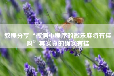 教程分享“微信小程序的微乐麻将有挂吗”其实真的确实有挂