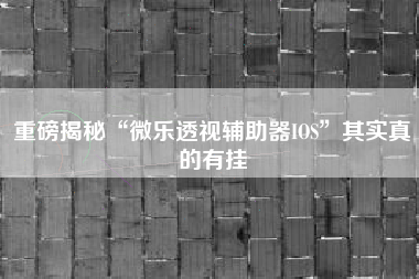 重磅揭秘“微乐透视辅助器IOS”其实真的有挂