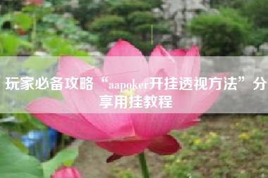 玩家必备攻略“aapoker开挂透视方法”分享用挂教程