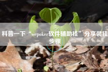 科普一下“wepoker软件辅助挂	”分享装挂步骤