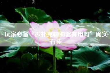 玩家必备“微扑克辅助器有用吗”确实有挂