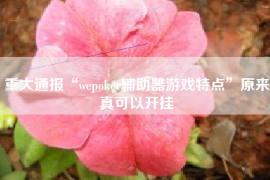 重大通报“wepoker辅助器游戏特点	”原来真可以开挂