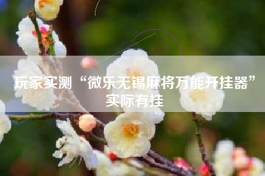 玩家实测“微乐无锡麻将万能开挂器”实际有挂