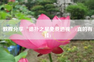 教程分享“德扑之星免费透视”(真的有挂)