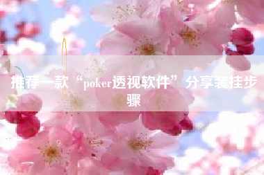 推荐一款“poker透视软件”分享装挂步骤